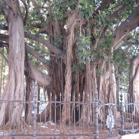 Garibaldi Rooms 29 - Piazza Marina A Palermo - In Pieno Centro. מראה חיצוני תמונה