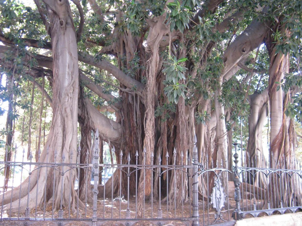 Garibaldi Rooms 29 - Piazza Marina A Palermo - In Pieno Centro. מראה חיצוני תמונה